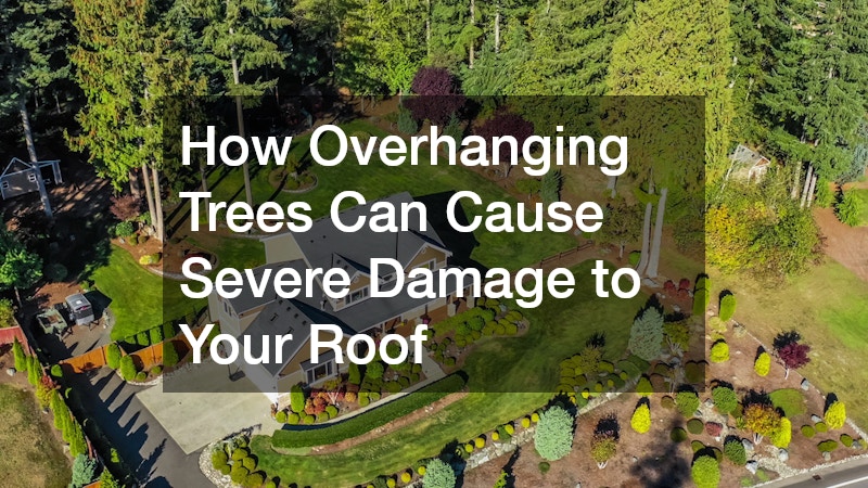 How Overhanging Trees Can Cause Severe Damage to Your Roof
